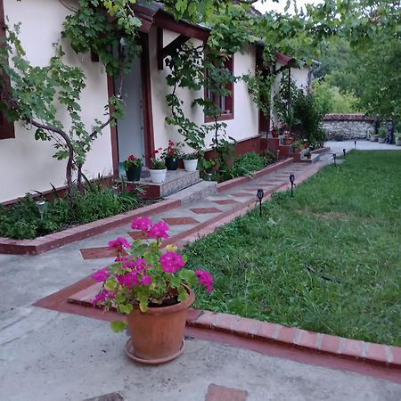 Casa Dragoi Din Socolari, Caras - Severin Bagian luar foto