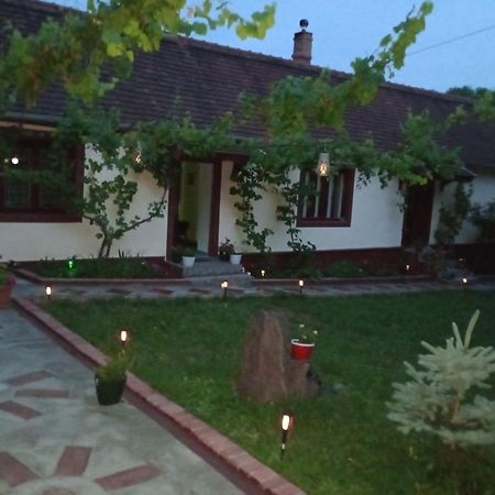Casa Dragoi Din Socolari, Caras - Severin Bagian luar foto