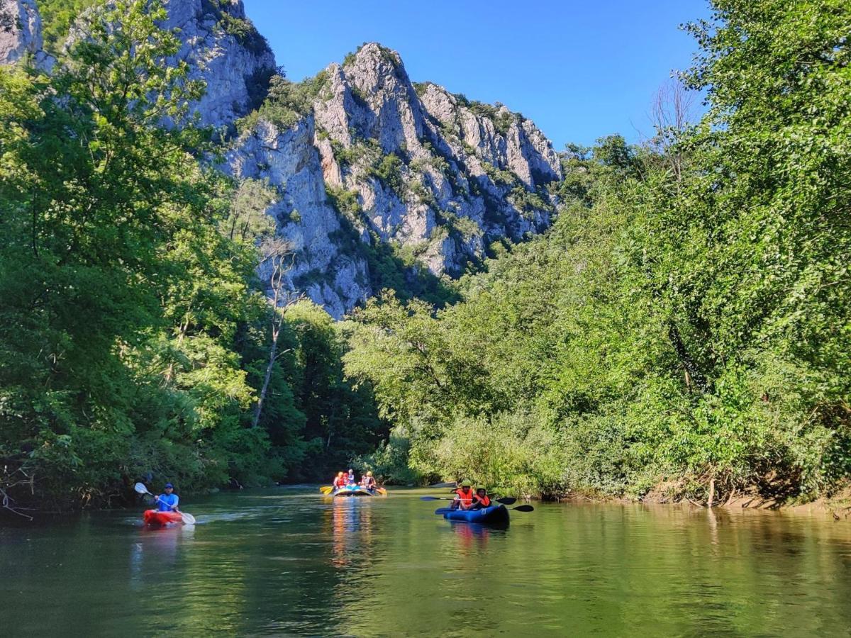 Casa Dragoi Din Socolari, Caras - Severin Bagian luar foto