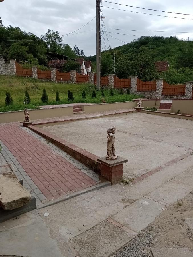 Casa Dragoi Din Socolari, Caras - Severin Bagian luar foto