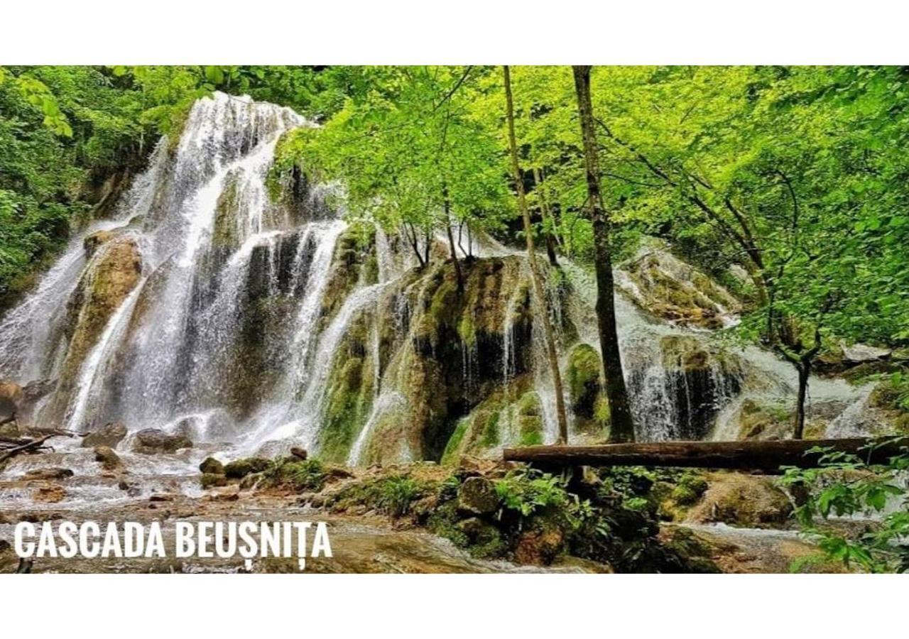 Casa Dragoi Din Socolari, Caras - Severin Bagian luar foto
