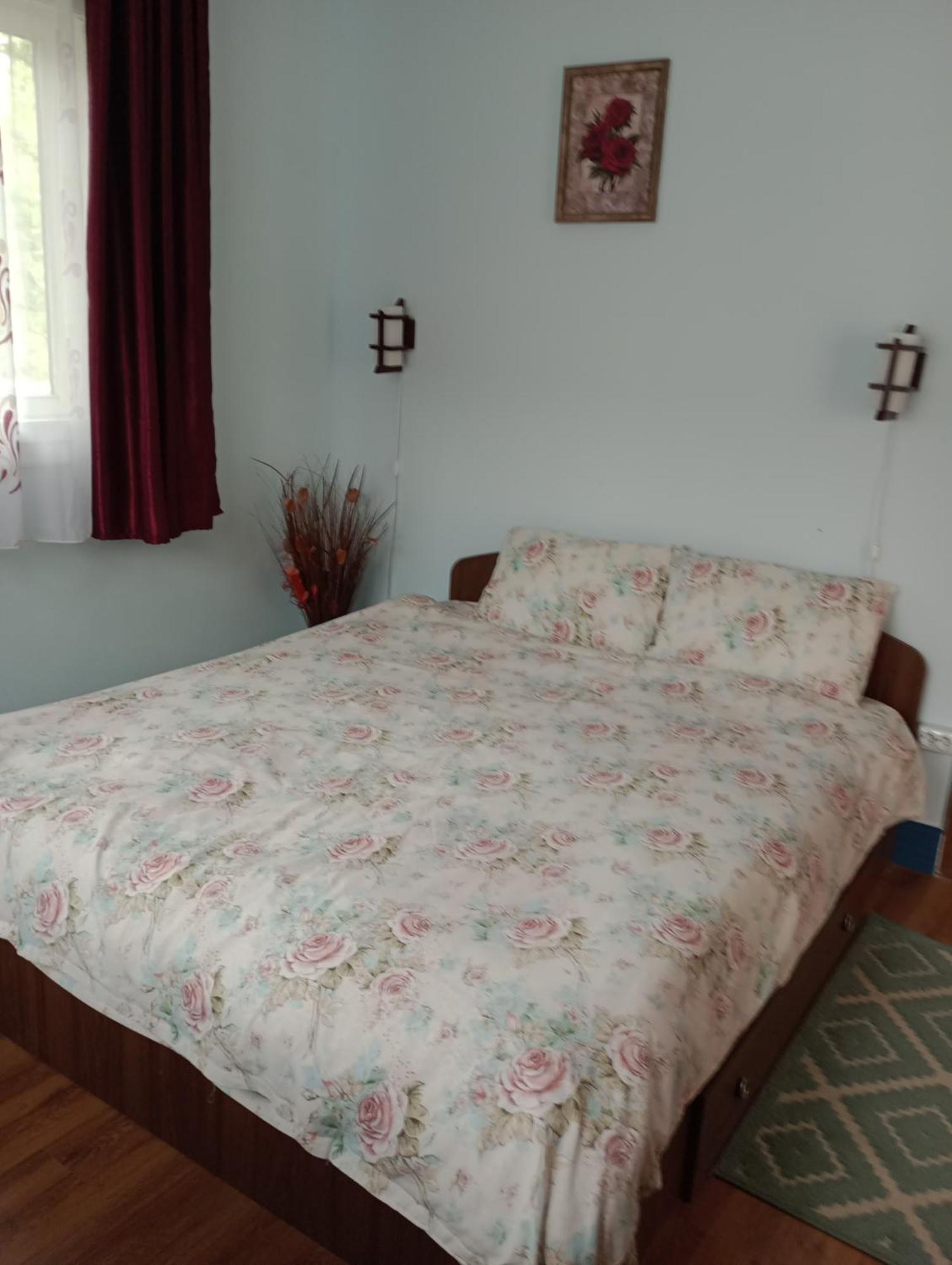 Casa Dragoi Din Socolari, Caras - Severin Bagian luar foto