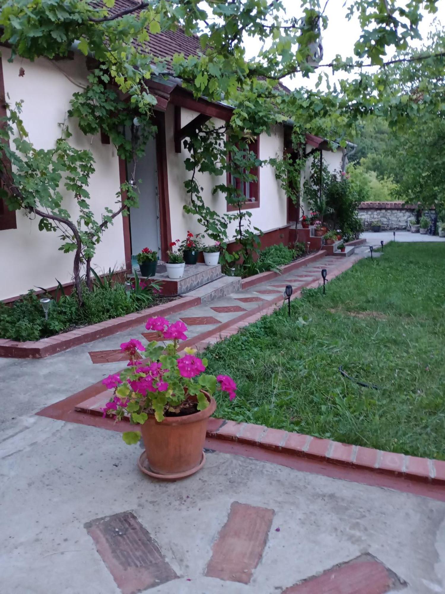 Casa Dragoi Din Socolari, Caras - Severin Bagian luar foto