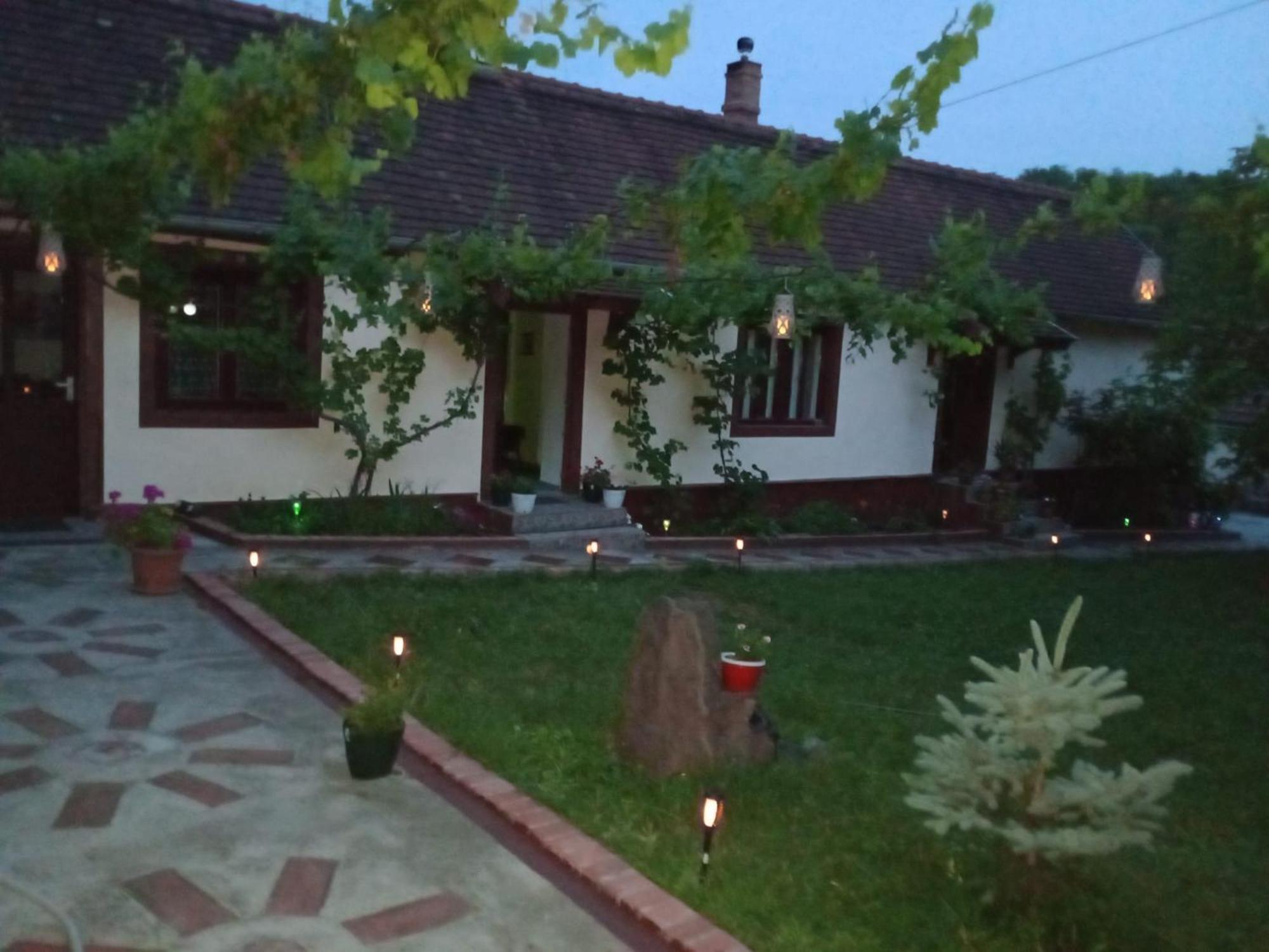 Casa Dragoi Din Socolari, Caras - Severin Bagian luar foto