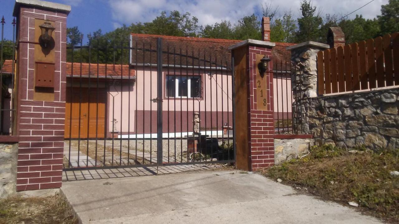 Casa Dragoi Din Socolari, Caras - Severin Bagian luar foto